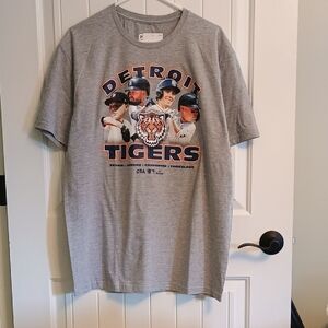 NWT Mens Large MLB Detroit Tigers Grey Tee with Orange and Navy Graphic